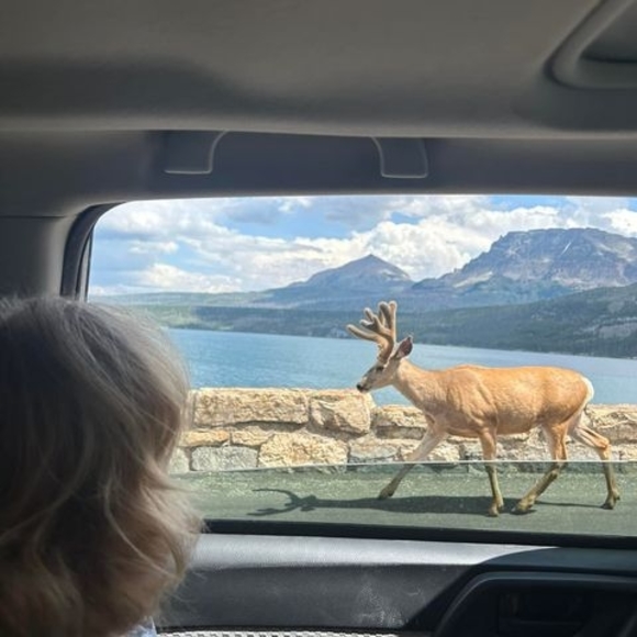 Meet your Posher, Kathleen - Picture 1 of 1